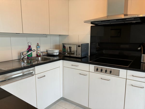 4.5-Zimmer-Wohnung - möbliert - mit Balkon in Buchs Zürich 8