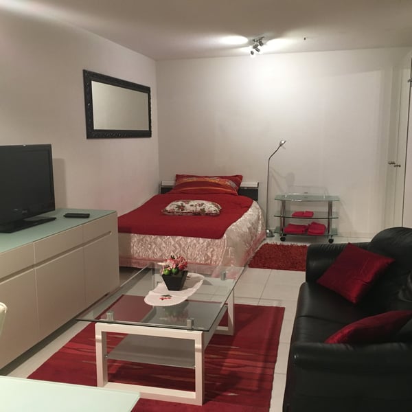 4.5-Zimmer-Wohnung - möbliert - mit Balkon in Buchs Zürich 1
