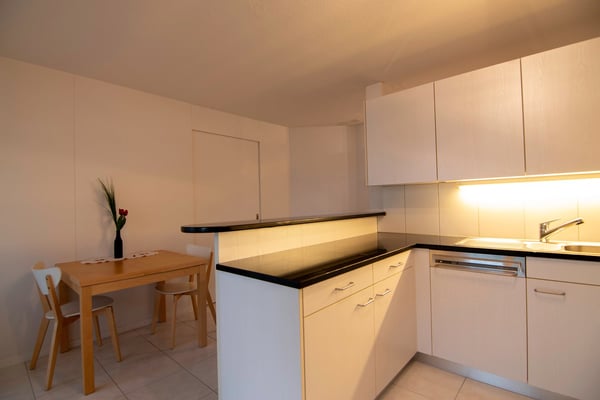 Möblierte 4.5-Zimmer- Wohnung - Balkon, eigene Waschraum, Lift - in Buchs Zürich 3