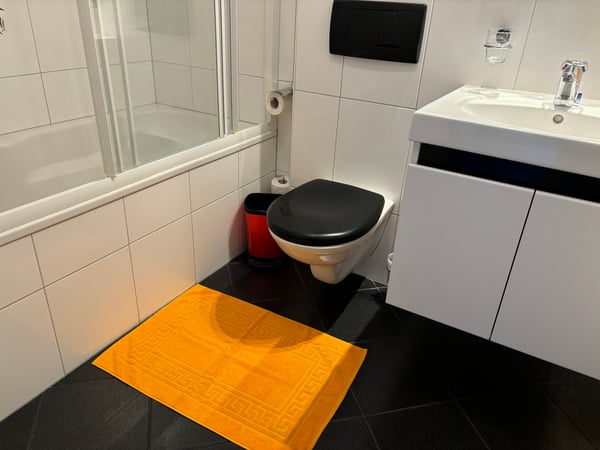 2.5-Zimmer-Wohnung - möbliert - mit Balkon in Buchs Zürich 18