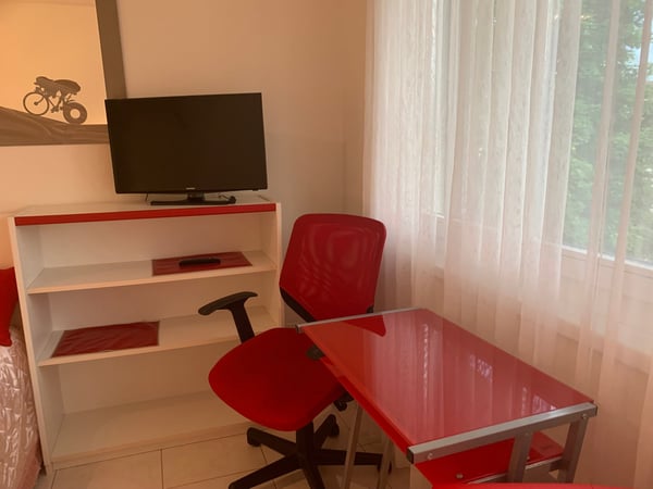 2.5-Zimmer-Wohnung - möbliert - mit Balkon in Buchs Zürich 14