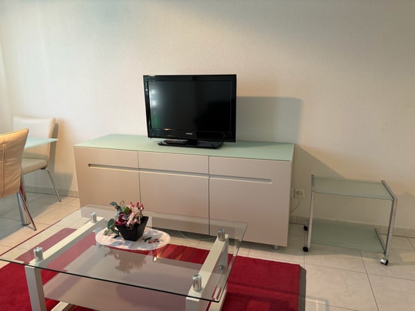 2.5-Zimmer-Wohnung - möbliert - mit Balkon in Buchs Zürich 4