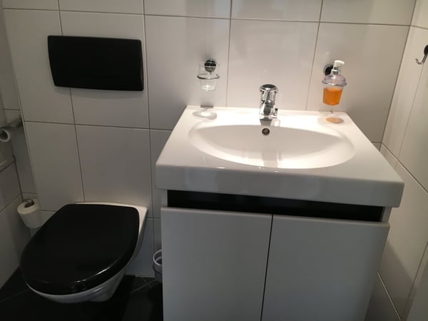 Möblierte 2.5-Zimmer- Wohnung - Balkon, eigene Waschraum, Lift - in Buchs Zürich 5