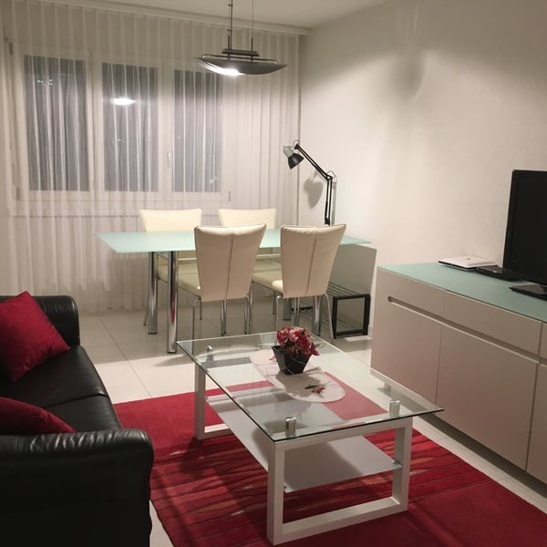 Möblierte 2.5-Zimmer- Wohnung - Balkon, eigene Waschraum, Lift - in Buchs Zürich 10