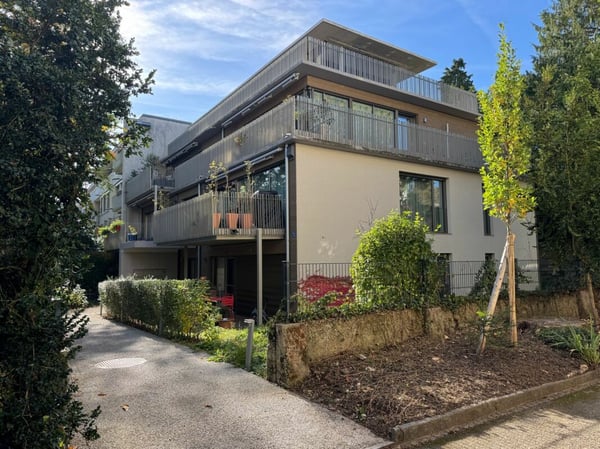 Büro / Praxisräume / Atelier im Gellert 1