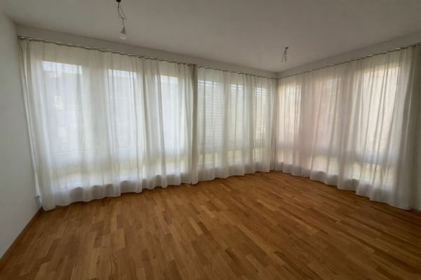 Sonnig, ruhig und mit grossem gedeckten Sitzplatz und Gartenanteil 7