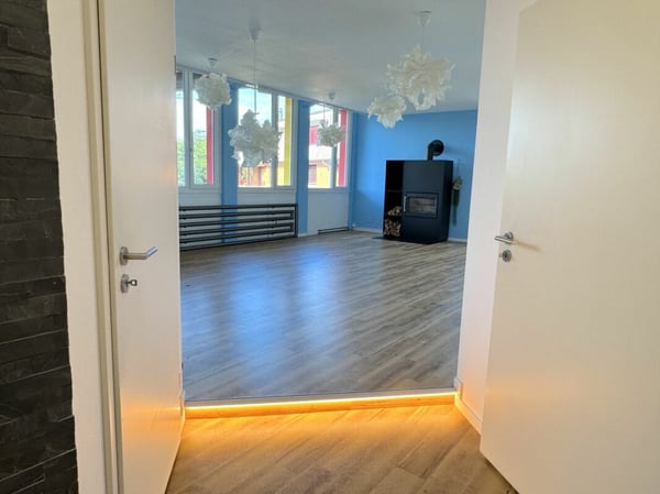 Aussergewöhnliches Wohnen mit Loft - Industrial Charme und eigenem Garten 8