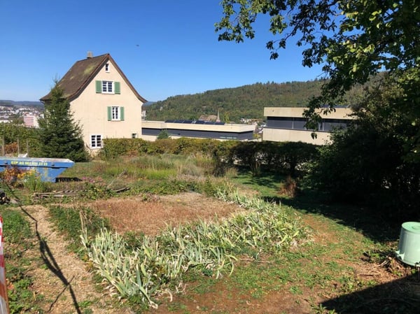 Bauland und Wohnhaus - Grundstück mit doppeltem Potenzial 3