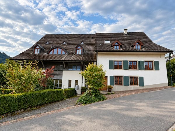 Grosszügige Wohnung mit gedecktem Balkon und Cheminée