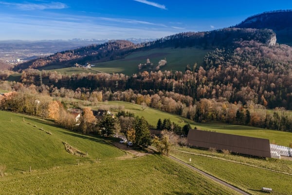 Grundstück im idyllischen Weiler Ifenthal 3