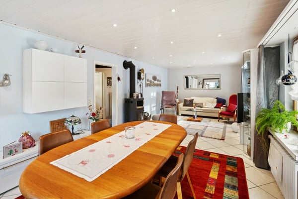 5½-Zimmer Doppeleinfamilienhaus 10