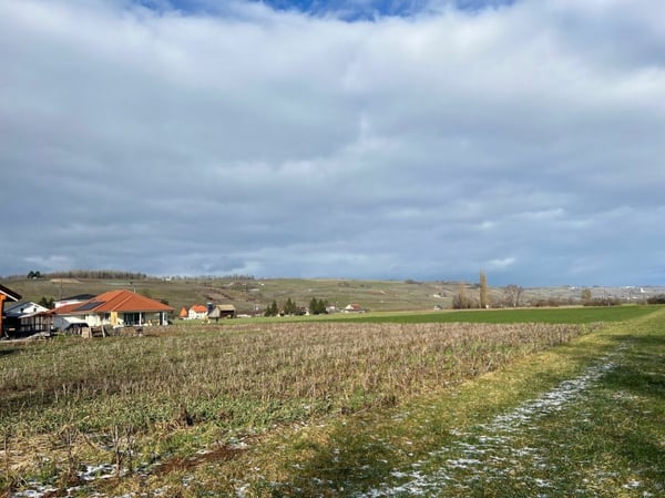 Einfamilienhaus mit Doppelgarage 14