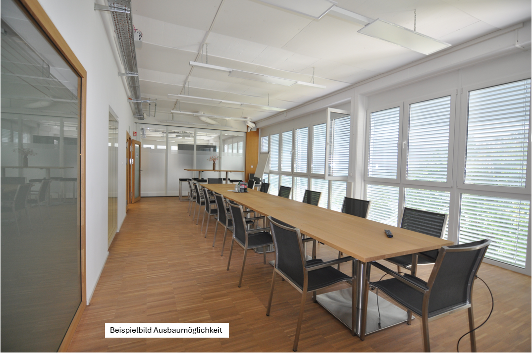 conference room, long table, chairs, large windows, overhead lights