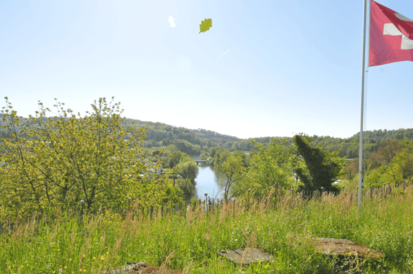 Windisch