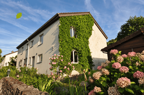 5.5 Zimmer Einfamilienhaus in ruhigem Wohnquartier