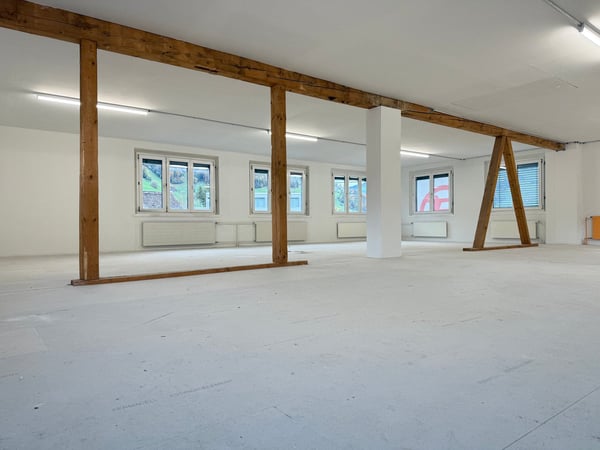 Vielseitig nutzbare Gewerbe- und Lagerräume in Brunnen 3