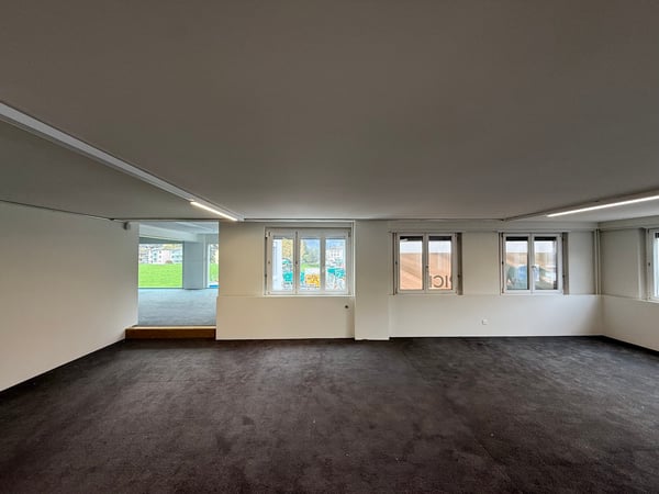 Vielseitig nutzbare Gewerbe- und Lagerräume in Brunnen 4