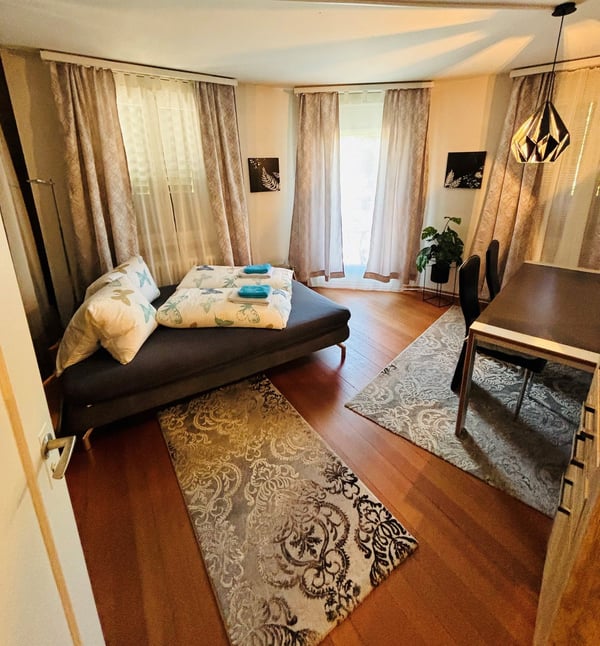 Möblierte 1.5-Zimmer-Wohnung mit Balkon und Garage in Arbon 1