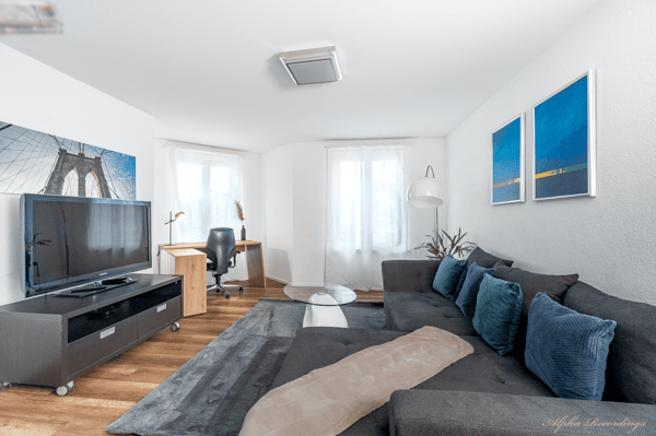 Möblierte 1.5-Zimmer-Wohnung mit Balkon in Arbon 3