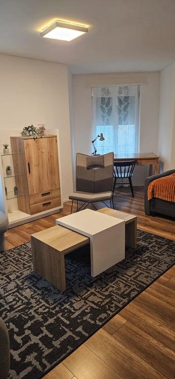 Möblierte 1.5-Zimmer-Wohnung mit Balkon in Arbon 3