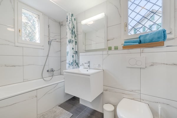 Möblierte 2.5-Zimmer-Wohnung mit Balkon in St. Gallen 4