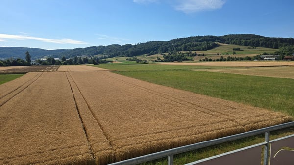 Charmante 5.5-Zimmer-Maisonette-Wohnung mit Seesicht in Eschenz 23