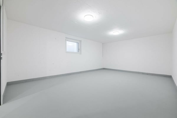 unverbaubare Sicht ins Grün - grosses 1.5-Zi. Einfamilienhaus in Bätershausen (bei Kreuzlingen) 10