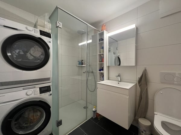 Moderne Wohnung mit Seesicht über den Dächern von Rorschacherberg 6
