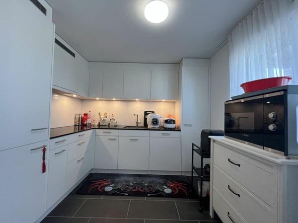 Moderne Wohnung mit Seesicht über den Dächern von Rorschacherberg 4
