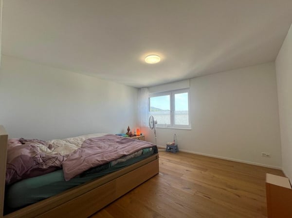 Moderne Wohnung mit Seesicht über den Dächern von Rorschacherberg 8