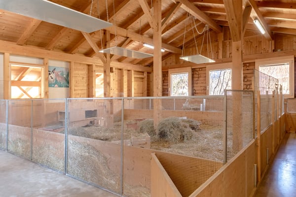 Grosszügiges 2.5 Zi Einfamilienhaus mit Umschwung 20