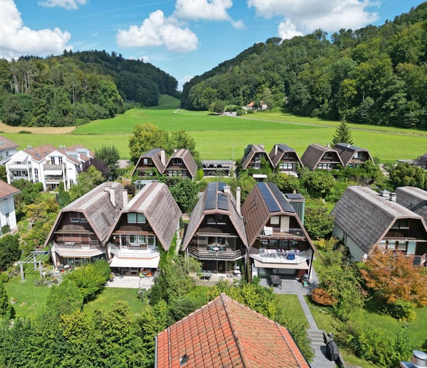 Grosses Doppeleinfamilienhaus in grüner Umgebung 3