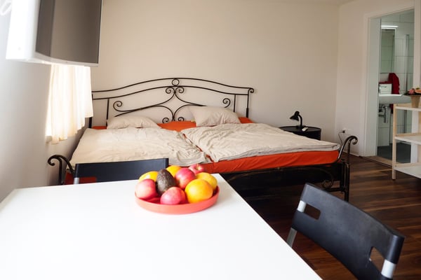 Möblierte Studios in Wetzikon ZH 17