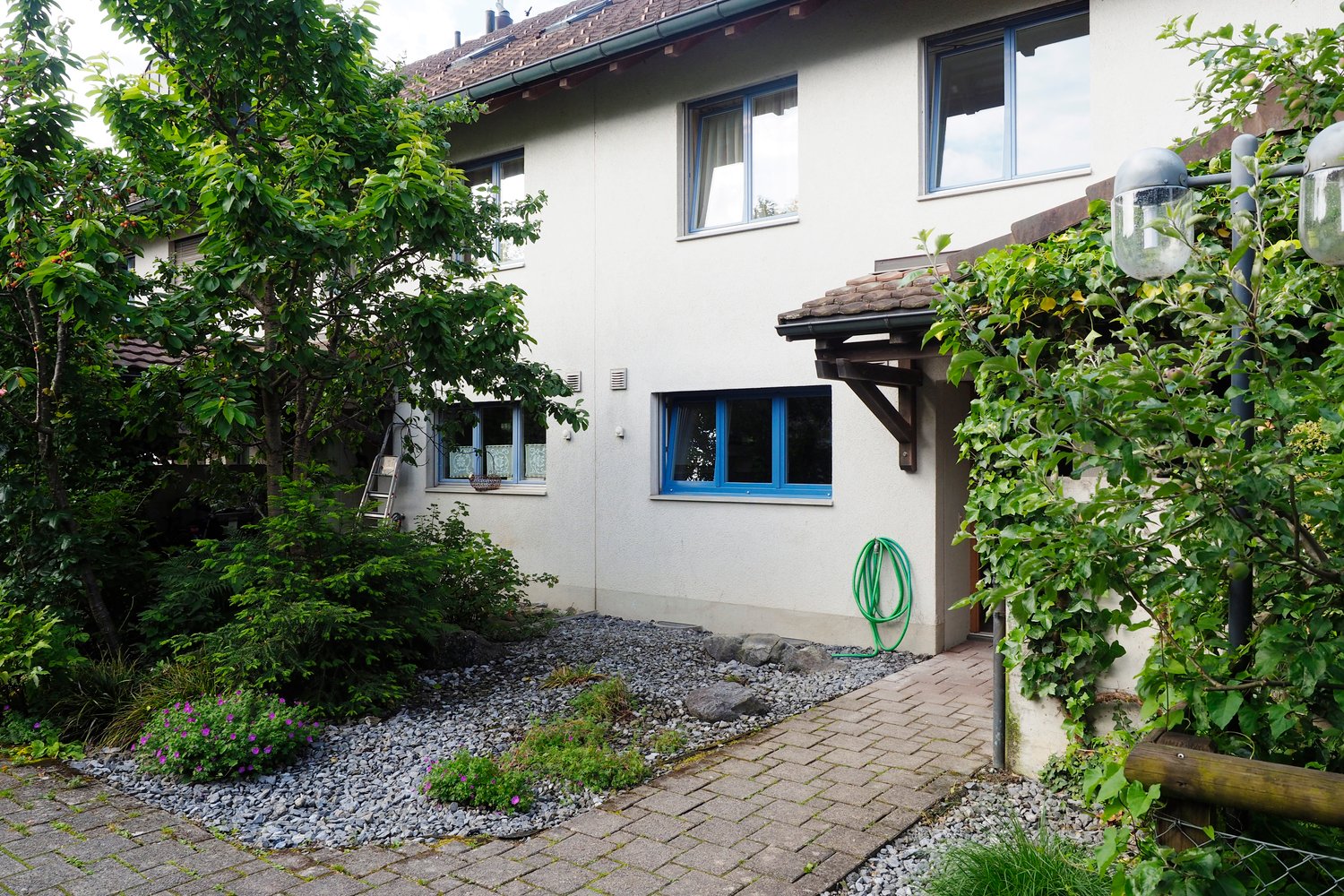 white exterior with brown roof, multiple windows with blue frames, front brick walkway, garden with trees and bushes, hose
