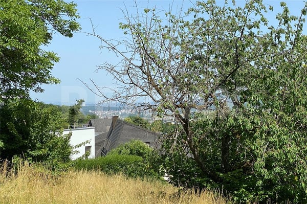 erhöht gelegen, herrliche Weitsicht und mit viel Sonne 11