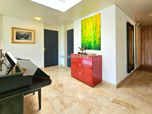 Mid century Villa nahe Zürich, in nur 32 Minuten staufrei am Flughafen 12
