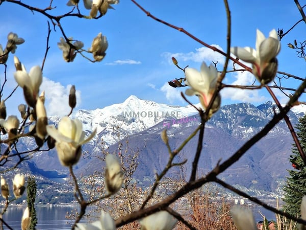 Attika auf 2 Etagen mit Panorma-Seeblick und privatem Gärtchen 6