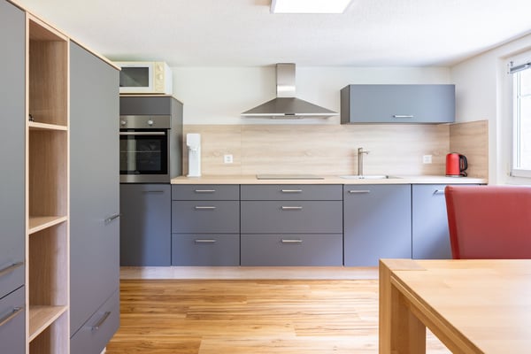 2.5 Zimmer Wohnung oder Ferienwohnung in Gurtnellen, UR 5