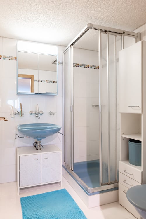 2.5 Zimmer Wohnung oder Ferienwohnung in Gurtnellen, UR 10