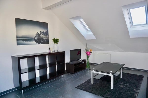 PER 16. JUNI 2026 ODER 01.07.2026 Wunderschöne möblierte 2.5- Zimmer-Dachwohnung zu vermieten 7