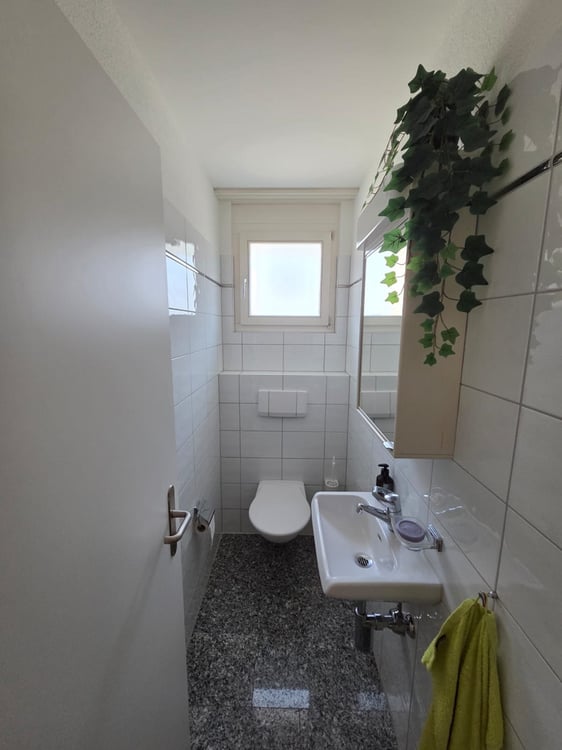 Gemütliche 1.5-Zimmerwohnung an ruhiger Lage 4