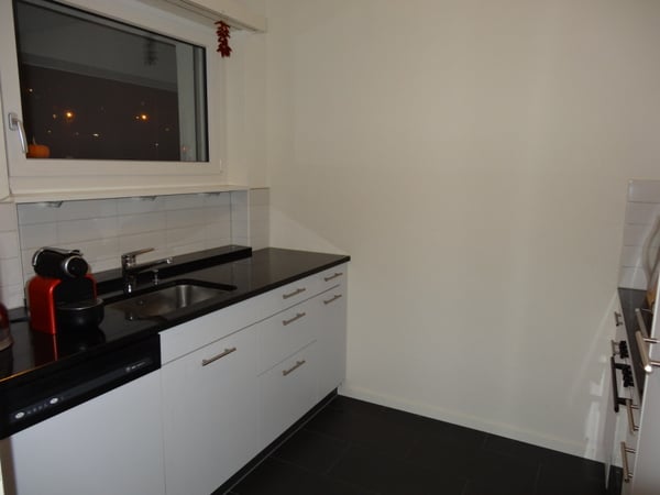 2.5 Zimmerwohnung mit Blick auf den Zürichsee 4