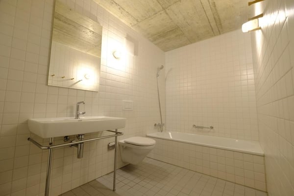 8.5 Zimmerwohnung im Herzog & De Meuron Turmhaus im Zellweger Park 10