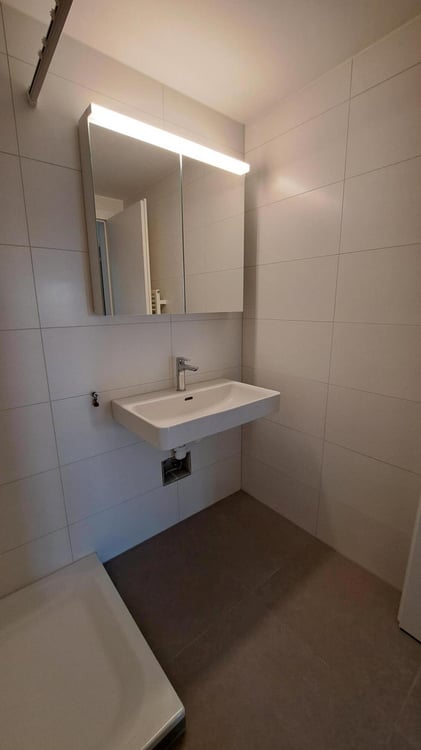 Charmante Single-Wohnung in einem familiären Riegelbau zu vermieten 5