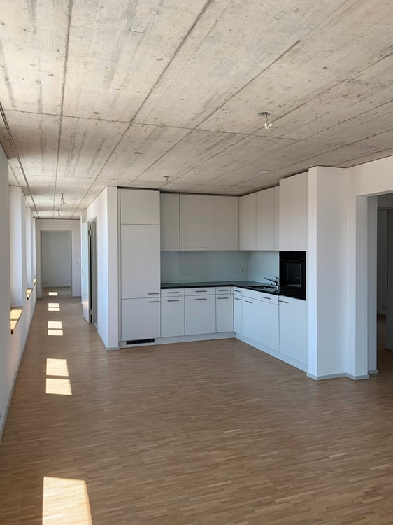 Wohnung mit Weitsicht und grosser Dachterrasse 2