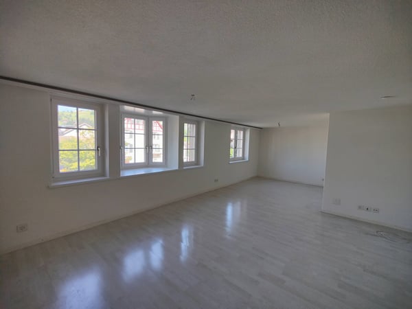 Charmante 4.5-Zimmer-Altbauwohnung mit Balkon in Wald ZH 3