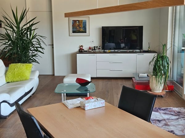 Moderne 1.5-Zimmer-Wohnung mit grosszügiger Terrasse und Seenähe in Schmerikon 3