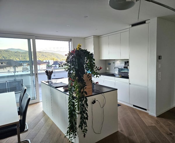Moderne 1.5-Zimmer-Wohnung mit grosszügiger Terrasse und Seenähe in Schmerikon 1