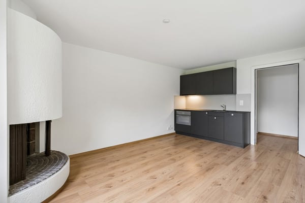 frisch renovierte 2-Zimmerwohnung mit grosser Terrasse in Zollikon 8