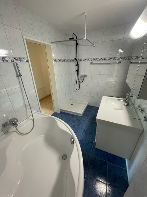 Grosszügige 4.5-Zimmer-Wohnung 9